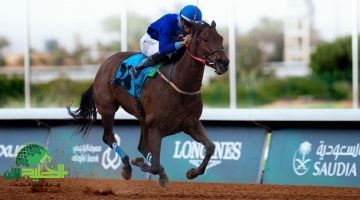 نادي سباقات الخيل في الطائف يعلن عن وظيفة حارس أمن بعقد تعاوني لعام 1446