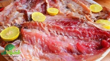 نصائح شراء الفسيخ بأمان دليلك لتجنب المخاطر الصحية1