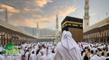 وزارة الحج تعلن ضوابط جديدة للحج 1446. منع الأطفال وإعطاء الأولوية للمبتدئين