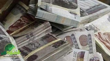 وزارة المالية تكشف حقيقة زيادة الأجور يوليو 2025. كل ما تحتاج معرفته