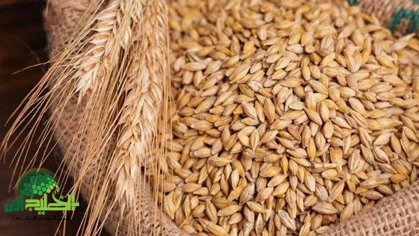 أسعار الأرز الشعير في مصر اليوم الجمعة 23 مايو 2025.. تحركات مفاجئة في السوق المحلي
