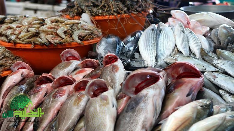 أسعار السمك اليوم الخميس 22 مايو 2025.. البلطي والبوري يشعلان الأسواق بطعم ولا أشهى