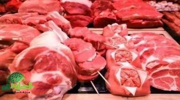 أسعار اللحوم الحمراء اليوم الجمعة 23 مايو 2025. ارتفاعات غير مسبوقة تشعل الأسواق وتضغط على ميزانيات الأسر