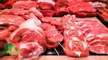 أسعار اللحوم اليوم. دليلك الشامل لأفضل الأسعار في السوق مايو 2025