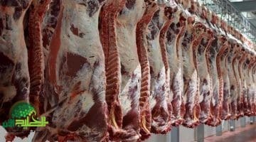 أسعار اللحوم في الأردن 2025. تحديات وارتفاعات غير مسبوقة قبل عيد الأضحى