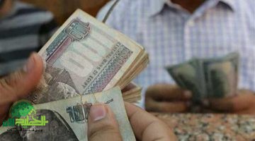 أعلى شهادات ادخار بعائد يومي في مصر 2025. دليل شامل للمستثمرين