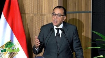 إجراءات الحكومة المصرية لتعزيز مشاركة القطاع الخاص . خطوة نحو اقتصاد أكثر ديناميكية1