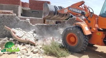 إزالة 370 حالة تعدٍ على أملاك الدولة خلال يومين ضمن المرحلة الأولى من الموجة 26