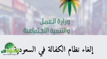 إلغاء الكفالة والرسوم في السعودية. شائعة أم حقيقة؟ وزارة الموارد البشرية تُوضح التفاصيل رسميًا