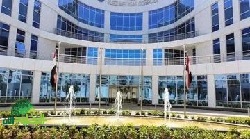 إنجاز طبي غير مسبوق في السويس أول تدخل ناجح لعلاج الجلطة الدماغية بالقسطرة ضمن التأمين الصحي الشامل
