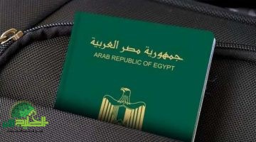 إيقاف تأشيرات العمل السعودية للمصريين. ما وراء القرار المفاجئ؟