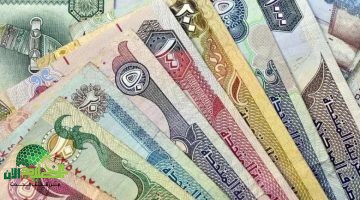 ارتفاع غير مسبوق للدرهم الإماراتي في مصر. ماذا يعني هذا للمواطنين؟