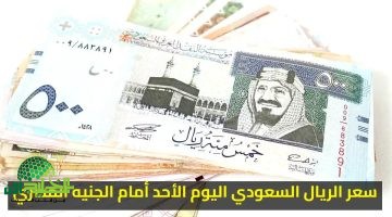 ارتفاع مفاجئ في سعر الريال السعودي مقابل الجنيه المصري اليوم. الأسباب والتوقعات