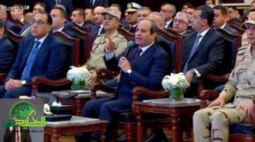 استثمارات ضخمة لتوصيل الكهرباء في مشروع مستقبل مصر السيسي يكشف التحديات والحلول1