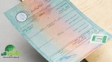 استخراج شهادة الميلاد 2025 إلكترونيًا في مصر. دليل شامل وخطوة بخطوة