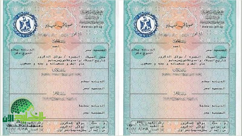 استخراج شهادة الميلاد 2025 إلكترونيًا في مصر.. دليل شامل وخطوة بخطوة