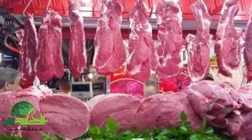 استقرار أسعار اللحوم قبل عيد الأضحى 2025. دليل شامل لأفضل الأسعار والنصائح