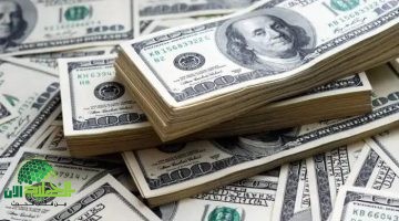 استقرار سعر الدولار في مصر عقب قرار الفيدرالي الأمريكي