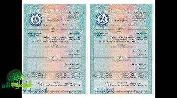 الآن يمكنك استخراج شهادة الميلاد 2025 من موبايلك. بدون أوراق ولا طوابير