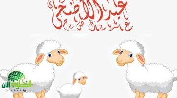 الإمارات تُعلن عن أطول إجازة عيد أضحى منذ سنوات. 4 أيام من الراحة والاحتفال