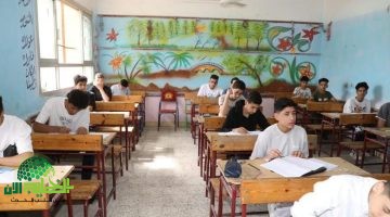 البوكليت التعليمي. خطوة استراتيجية لتخفيف أعباء أولياء الأمور1