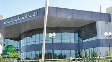 التأمينات الاجتماعية في السعودية 1446. الشروط الكاملة للاشتراك وطريقة التسديد رسميًا