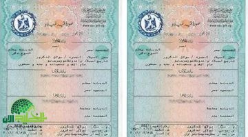 التحول الرقمي يطرق أبواب الإنسانية. استخراج شهادة ميلاد رقمية للأسر الحاضنة عبر مصر الرقمية 2025