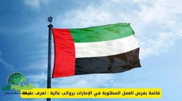 التخصصات الأكثر طلباً في الإمارات 2025. دليل شامل للوظائف المطلوبة والرواتب
