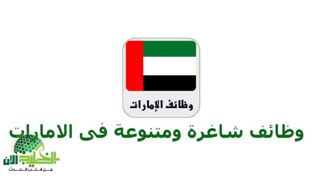 التخصصات الأكثر طلباً في الإمارات 2025.. دليل شامل للوظائف المطلوبة والرواتب