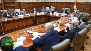 الحكومة تؤيد تعديل قانون مجلس الشيوخ دون زيادة في عدد المقاعد