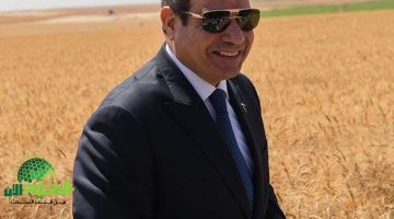 الرئيس السيسي يسلط الضوء على تحديات الزراعة في مصر خلال موسم حصاد القمح 2025
