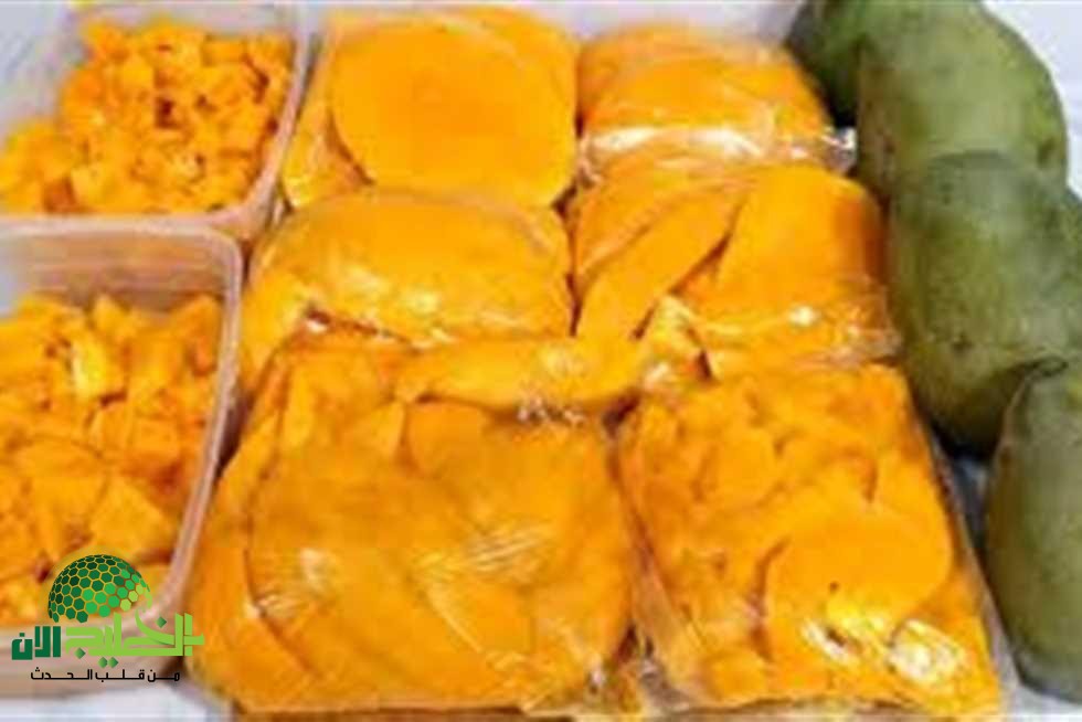 السر وراء تخزين المانجو لمدة عام كامل مع الحفاظ على نضارتها