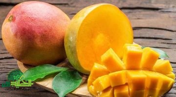 السر وراء تخزين المانجو لمدة عام كامل مع الحفاظ على نضارتها