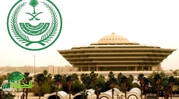 السعودية تنفذ حكم القتل تعزيرًا في قضية خطف حديثي الولادة. تفاصيل الحكم الرسمي من وزارة الداخلية