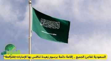 السعودية تُطلق إقامة دائمة لمدة 10 سنوات برسوم رمزية وبدون كفيل. نقلة نوعية في سياسة الإقامة لجذب الكفاءات