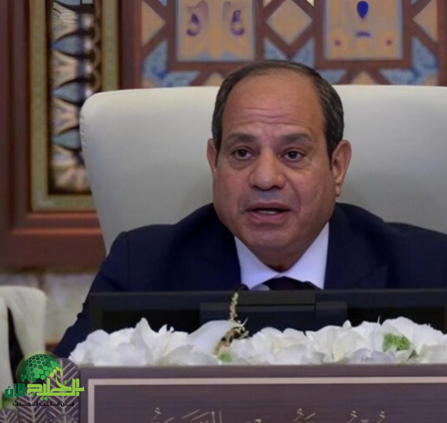 السيسي لا سلام في الشرق الأوسط دون دولة فلسطينية(1)