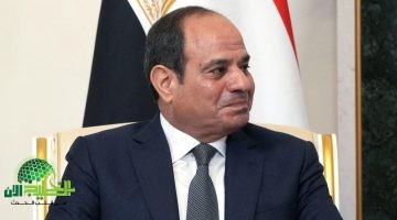 السيسي يؤكد عمق الشراكة مع روسيا ويتمنى نجاح اجتماعات اللجنة الاقتصادية المشتركة1
