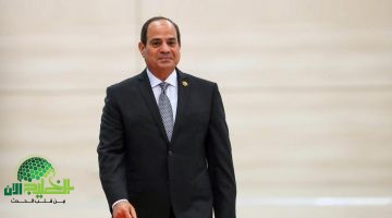 السيسي يثمن جهود رئيس البنك الأفريقي للتنمية في دعم قضايا القارة1