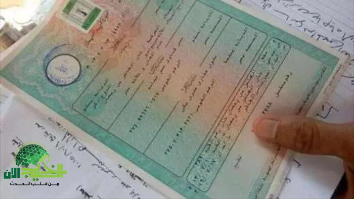 الشهادة الرقمية للميلاد أصبحت متاحة الآن للأسر الحاضنة في مصر.. خطوات الحصول والمميزات الكاملة