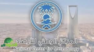 الكويت تعلن إلغاء 66 ألف رخصة قيادة للوافدين. تفاصيل القرار المثير للجدل