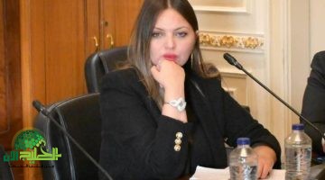 النائبة مي رشدي جهود الدولة متواصلة لحماية المواطن من تبعات الأزمات الاقتصادية1