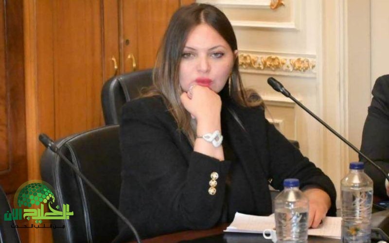 النائبة مي رشدي جهود الدولة متواصلة لحماية المواطن من تبعات الأزمات الاقتصادية1