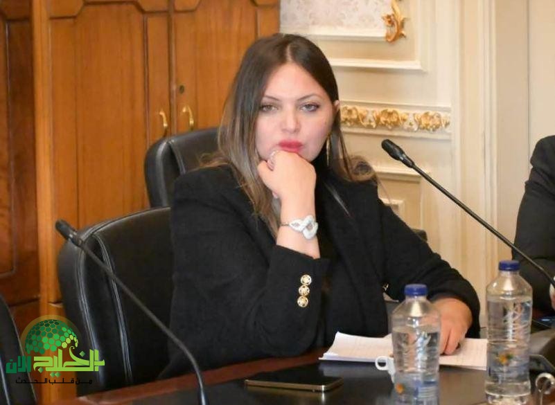 النائبة مي رشدي جهود الدولة متواصلة لحماية المواطن من تبعات الأزمات الاقتصادية(1)
