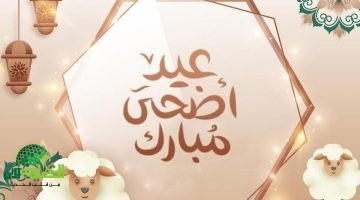 الوقفة قربت تلمّنا. كل ما تريد معرفته عن وقفة عرفات وعيد الأضحى 2025