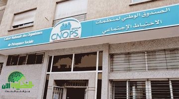 انطلاق التسجيل في موقع كنوبس الجديد 2025. دليل شامل للاستفادة من الخدمات الصحية الرقمية