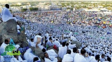 انطلاق موسم الحج من مطار القاهرة . احتفال رسمي واستعدادات شاملة لخدمة الحجاج1