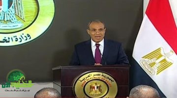 بيان عاجل من وزارة الخارجية المصرية بشأن بحارة عالقين في مياه الإمارات1