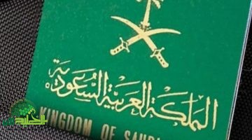 تأشيرة عمل بالسعودية 1446. دليل شامل وخطوات مضمونة للوافدين