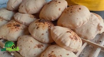 تثبيت سعر رغيف الخبز البلدي في مصر رغم ارتفاع التكاليف. تفاصيل التسعيرة الجديدة وجهود الدولة في 2025