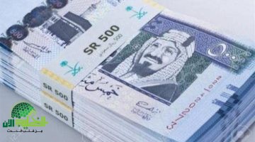 تحديثات سوق الصرف. الريال السعودي يشهد تقلبات طفيفة في 2025